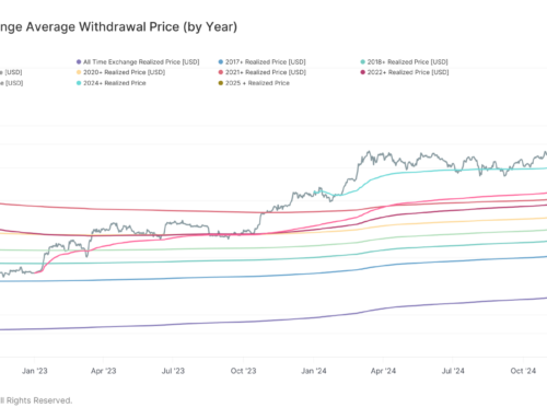 Bitcoin Drops Below Key 2025 Realized Price Level, Raising Risk of Further Downside: Van Straten