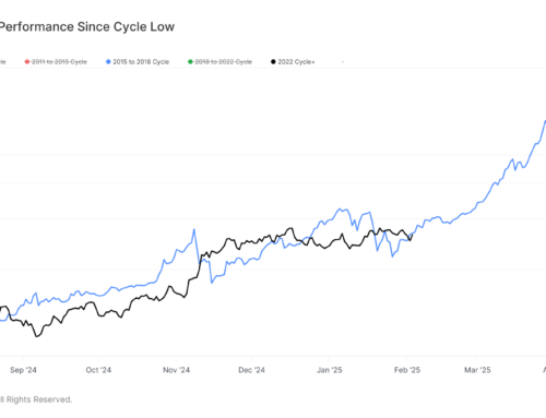 Bitcoin Still Following Previous Cycle’s Trajectory Despite Price Drop: Van Straten