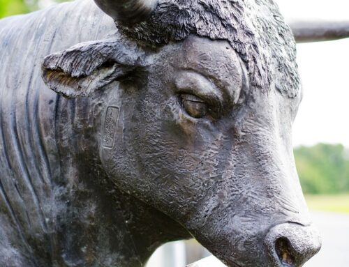 Bitcoin Bull James Wynn Close to Total Liquidation as Losses Near $100M