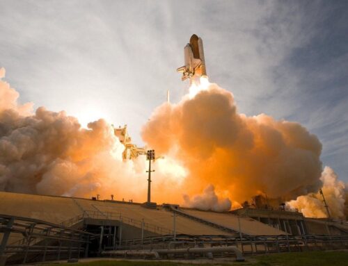 XRP Could Rocket to $8 as Focus Shifts to Crypto Majors After Bitcoin’s Record Run: Traders