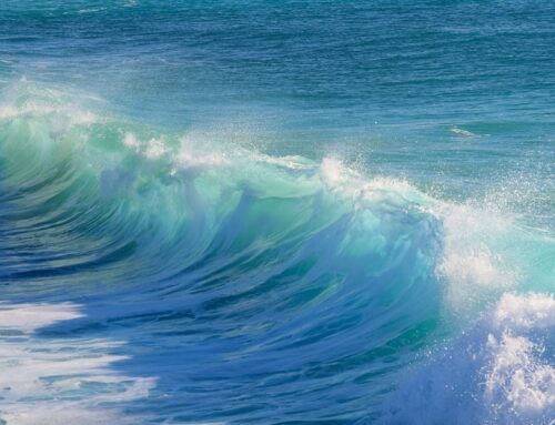 Crypto Daybook Americas: Bitcoin Weakness Fails to Stop Corporate Adoption Wave